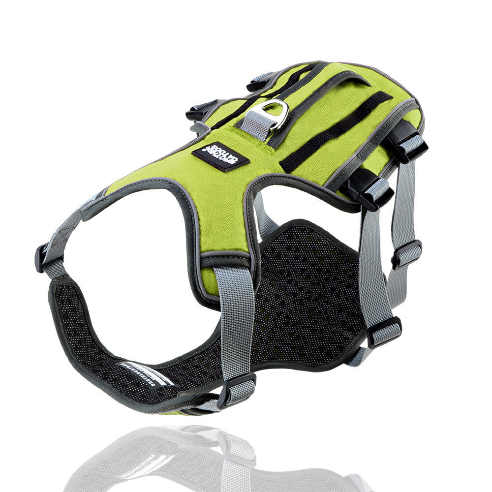 Adjustable Nylon Dog Harness and Leash Set