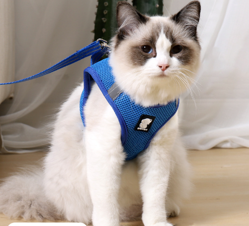 Gentle Paws™ Anti-Strike Harness and Leash Set