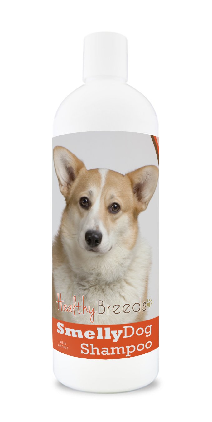Healthy Breeds Cardigan Welsh Corgi Smelly Dog Baking Soda Shampoo 8 oz
