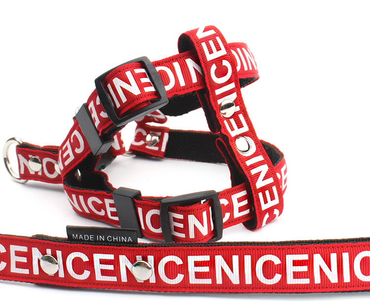Dog Leash and Collar Set for Pets