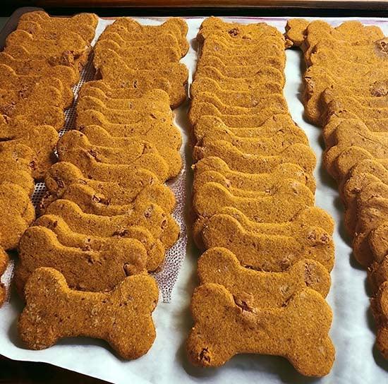 Peanut Butter and Bacon Dog Cookies đ„đ„đŸ