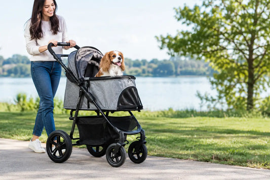 How to Choose a Pet Stroller That Fits Your Pet