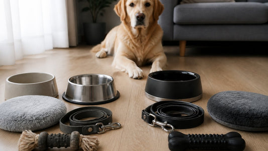 Are Premium Pet Products Worth It: A Real Comparison