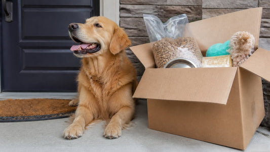Cheap Pet Food Delivery in Canada: A Practical Guide