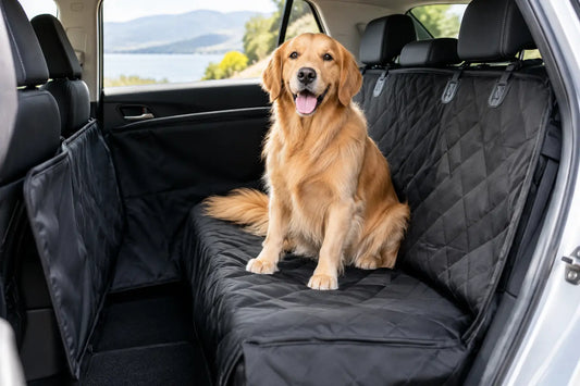 Best Dog Seat Covers for Cleaner Car Rides