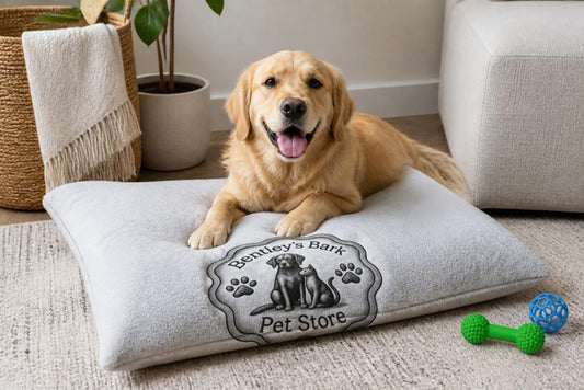 Luxury Dog Accessories: Premium Styles for 2026