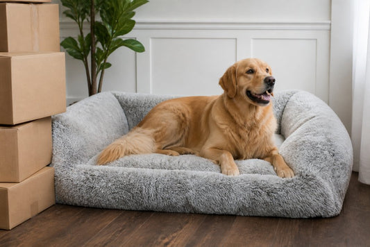 Luxury Dog Beds With Free Shipping