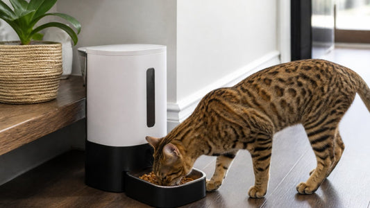 Smart Pet Feeders 2026: Reviews & Buying Guide