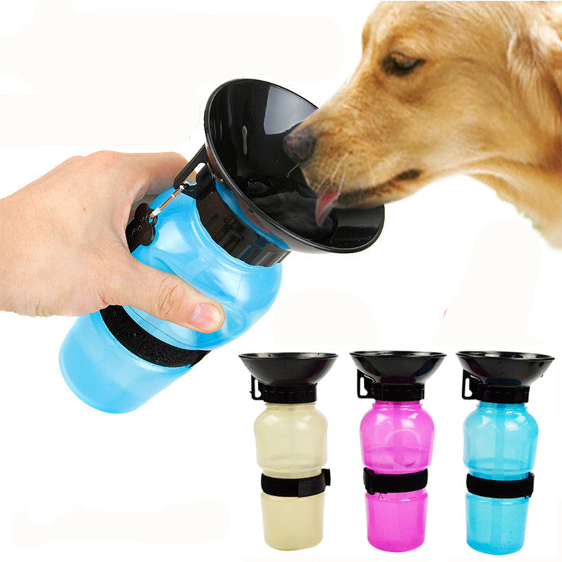 Feeding & Water