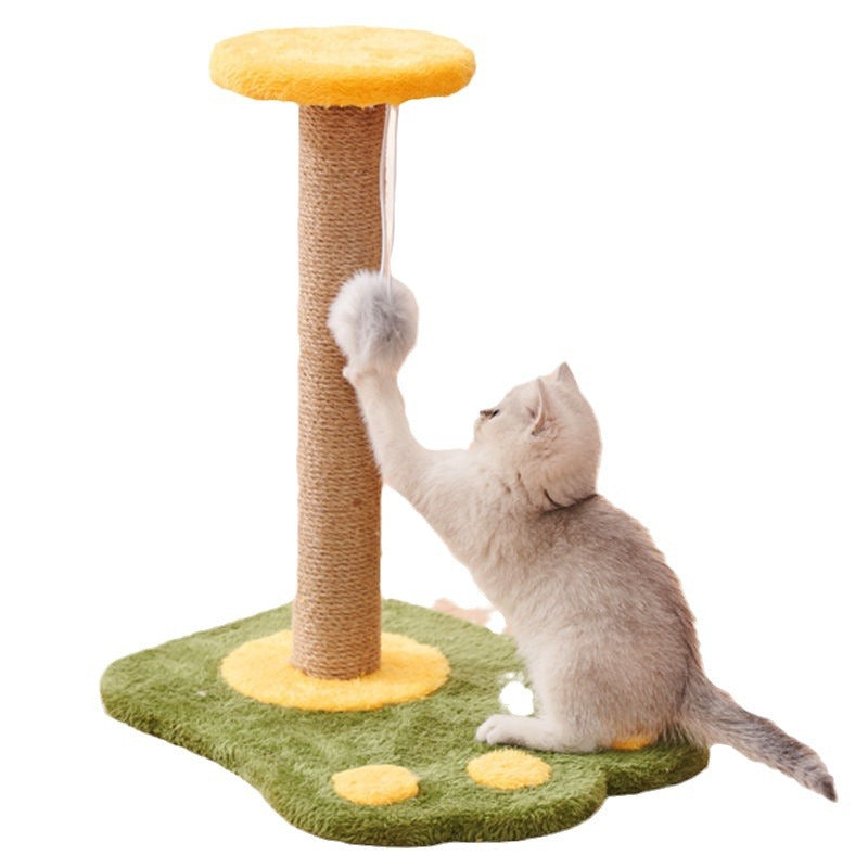 Jouets pour chats