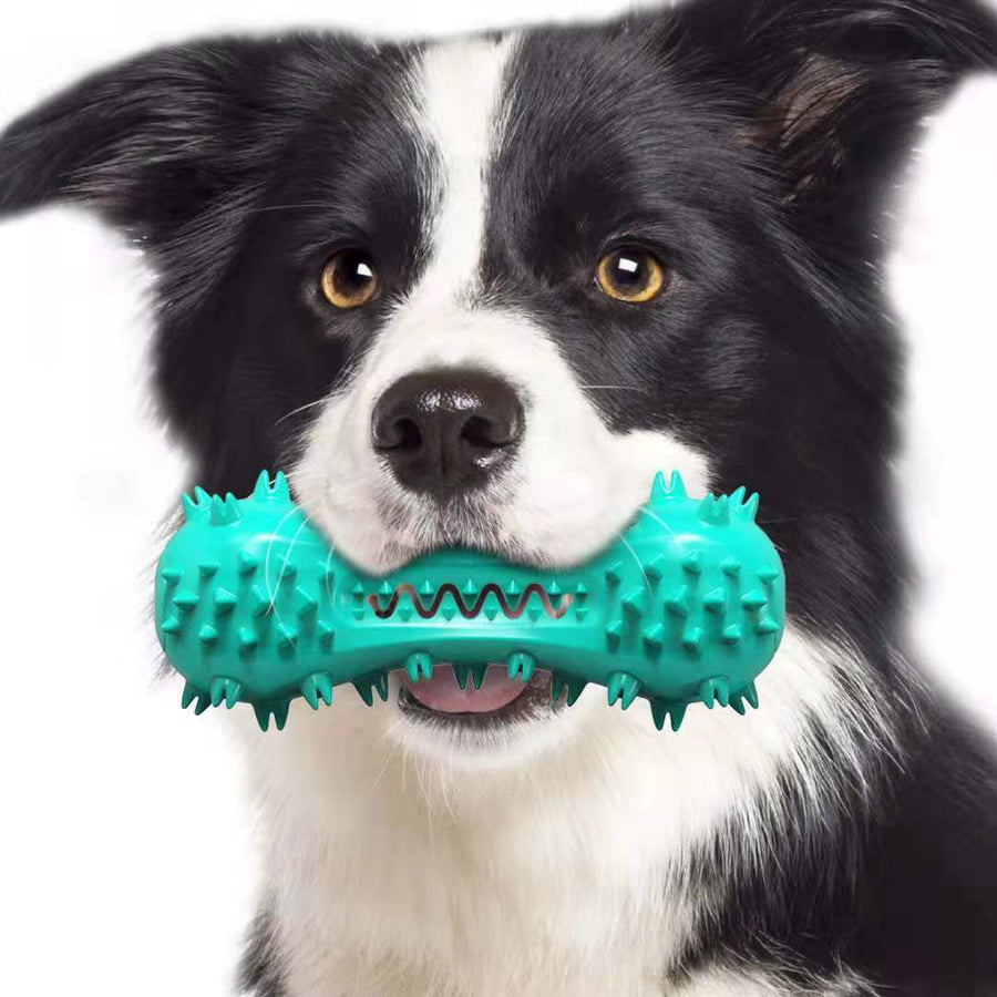 Jouets pour chiens