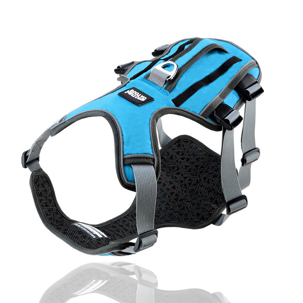 Adjustable Nylon Dog Harness and Leash Set