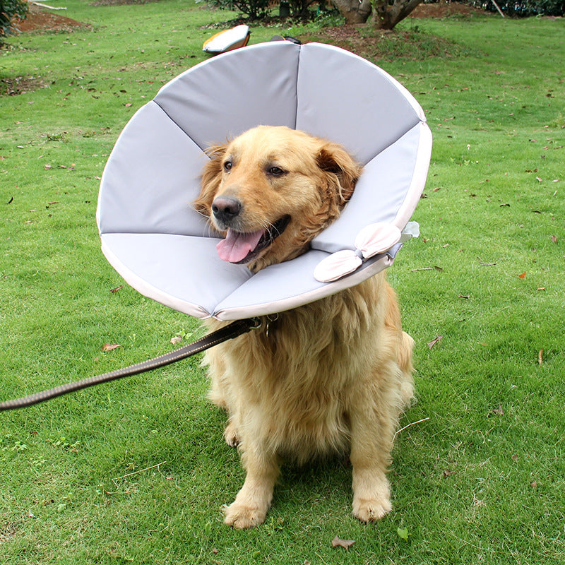 Dog Recovery Care Collar for Sick Pets
