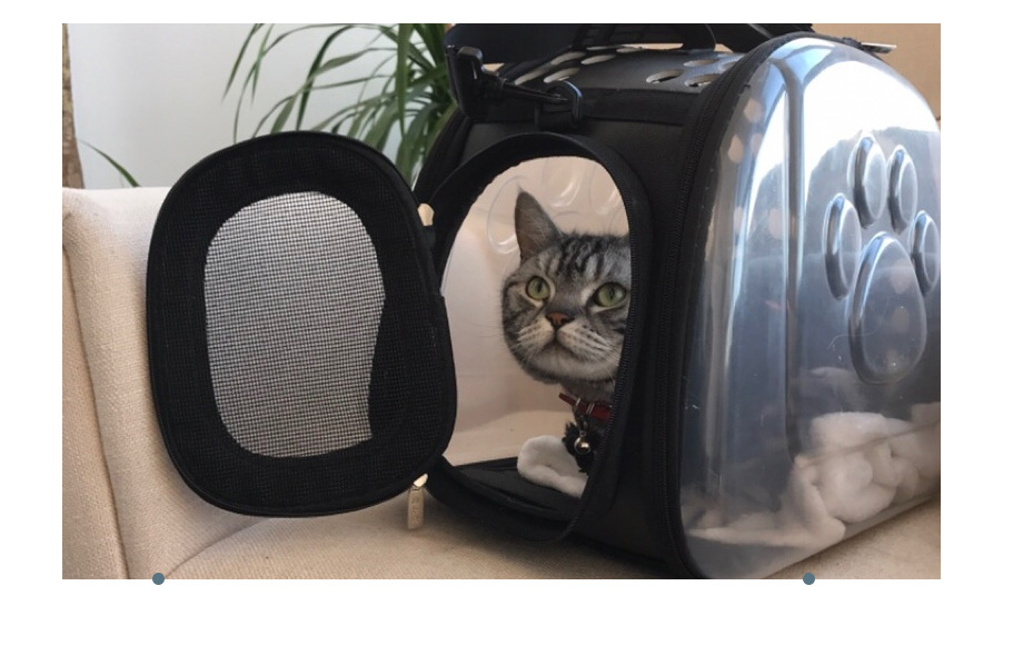 Transparent EVA Pet Backpack Carrier – Cats & Dogs