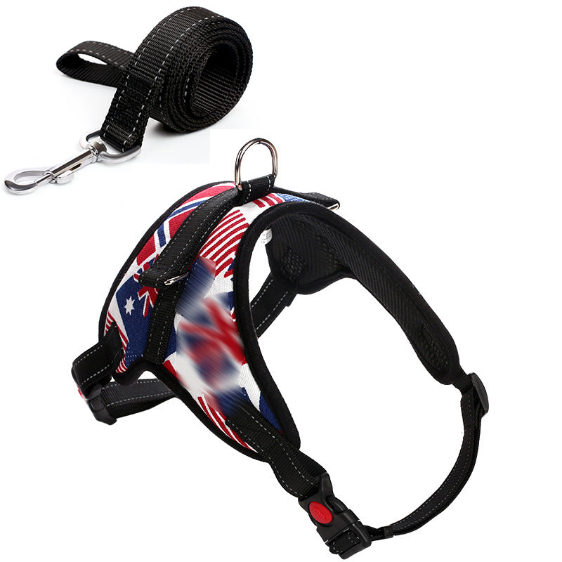 Pet Harness and Leash for Large Dogs (Direct from Manufacturer)