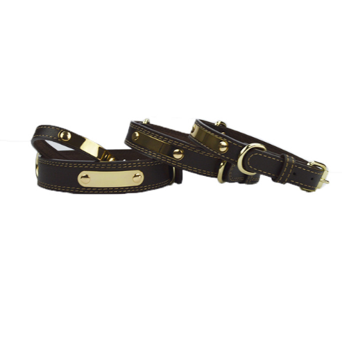 Personalized Dog Collar for Medium and Large Breeds