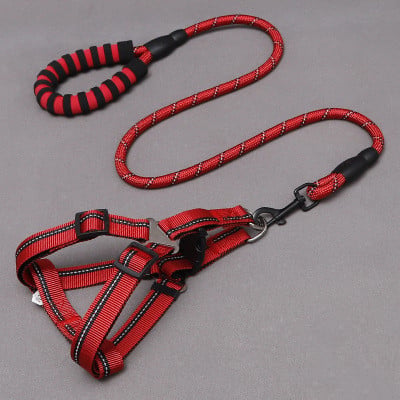 Dog Leash & Chest Harness Set