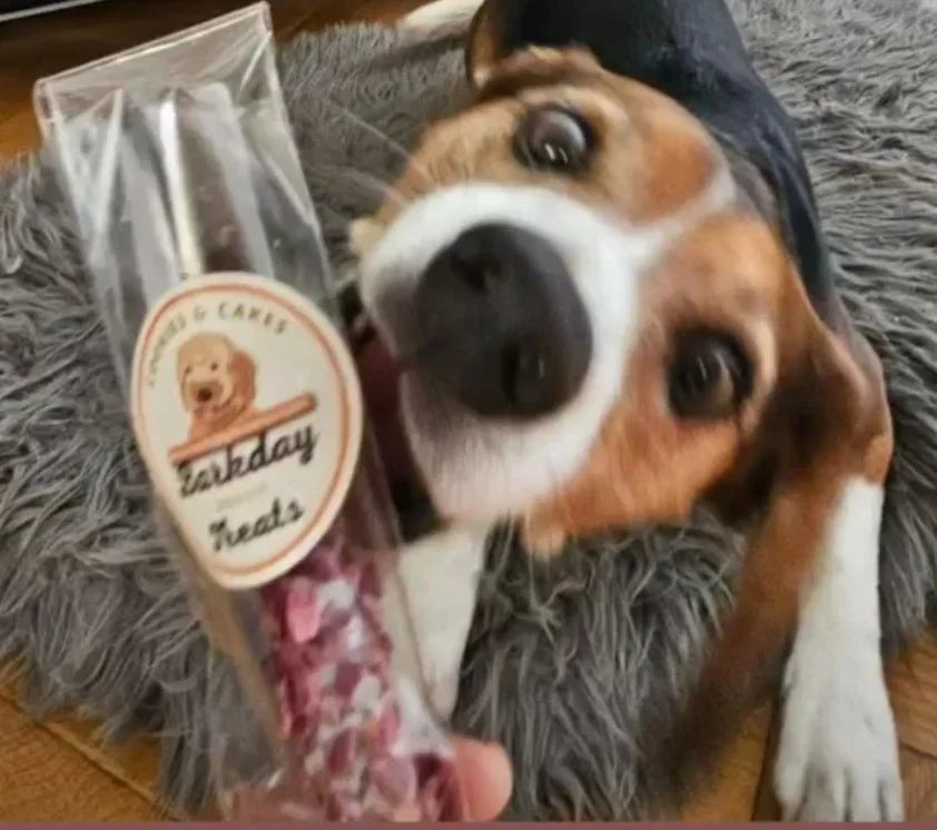 Rosie's Sweet Potato Chew Sticks For Dogs