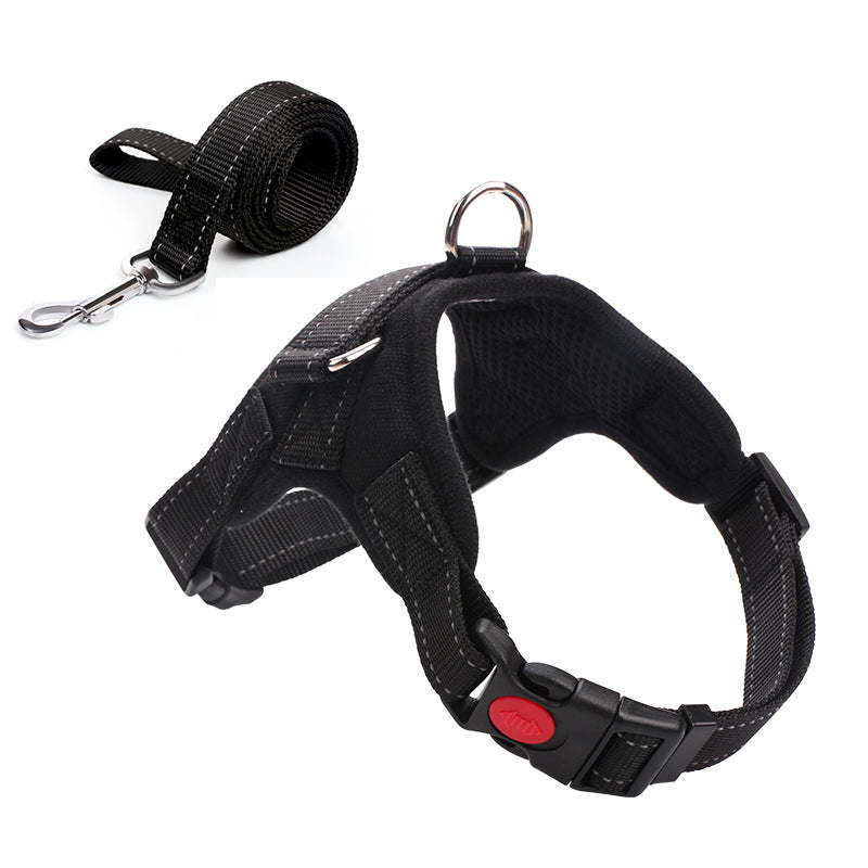 Pet Harness and Leash for Large Dogs (Direct from Manufacturer)