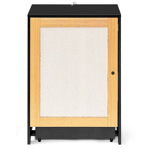 Cat Litter Box Enclosure, Hidden Cat Washroom, Kitty End Table, Litter Cabinet With Sisal Door,Black