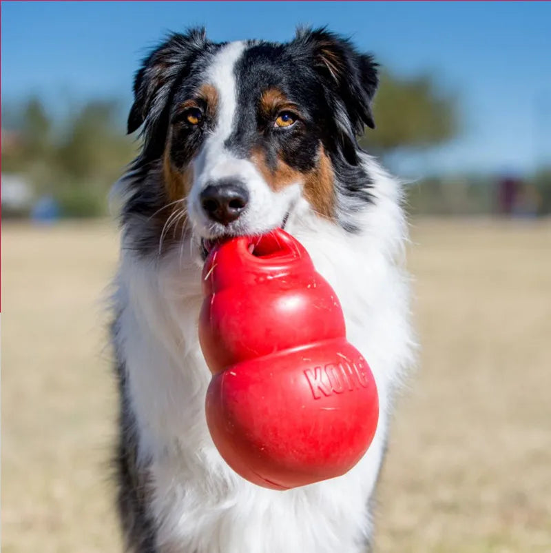 KONG All Series and All Size for Puppy Wobbler Dog Cat Toy of Flyer Tires Durable Natural Rubber Fun to Chew Chase and Fetch