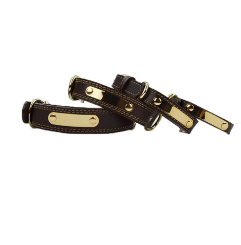 Personalized Dog Collar for Medium and Large Breeds