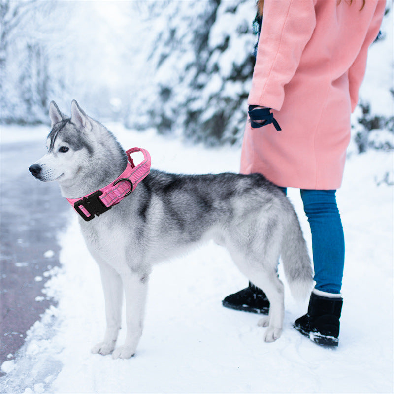 Adjustable Stylish Dog Leash for Large and Medium Breeds