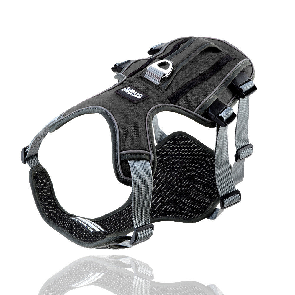 Adjustable Nylon Dog Harness and Leash Set