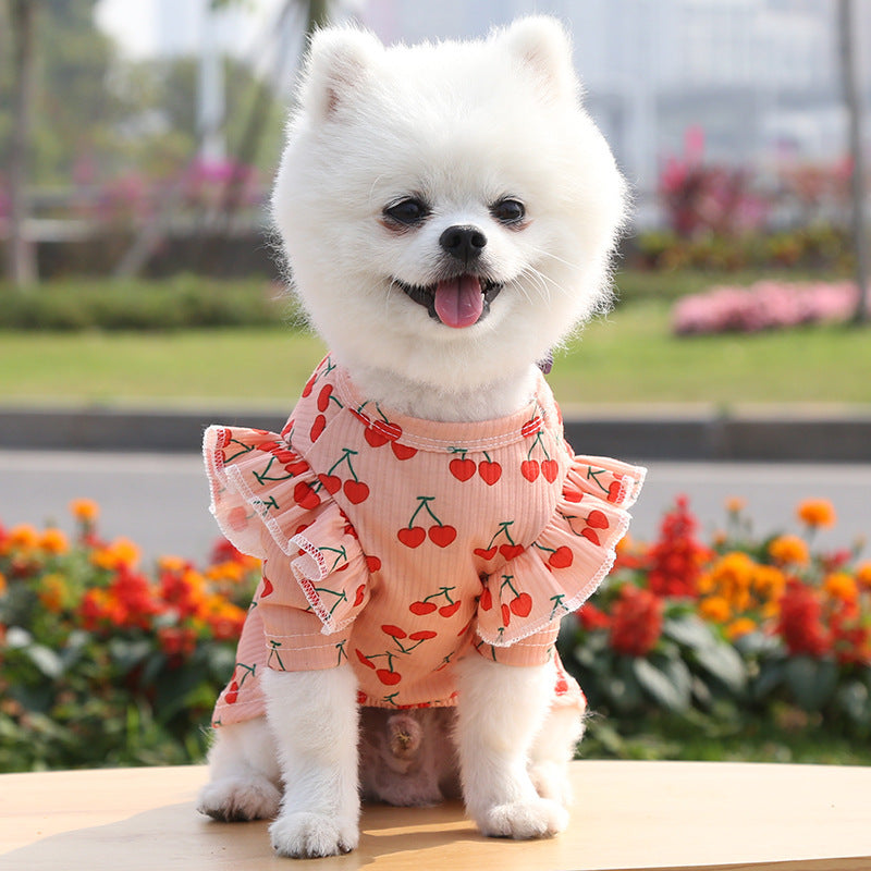 Paw Print Stylish Pet Shirt