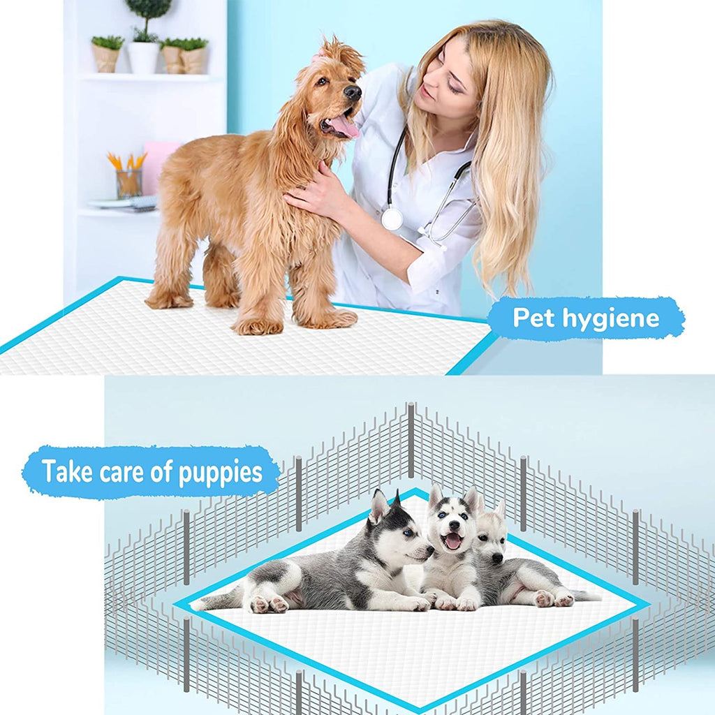 Disposable Water Absorbent Dog mats
