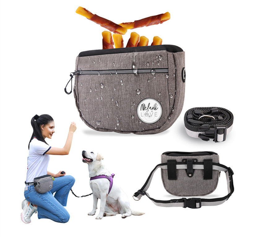 Dog Treat  Training & Walking Pouch