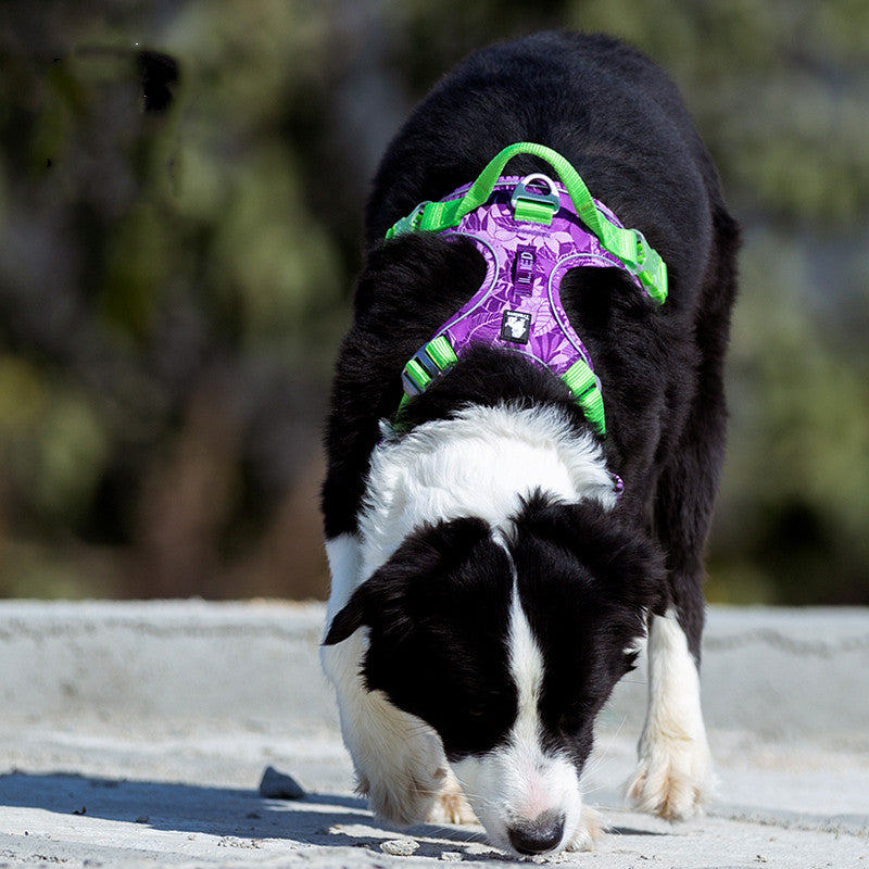 Reflective Nylon Dog Harness and Leash Set – Medium to Large