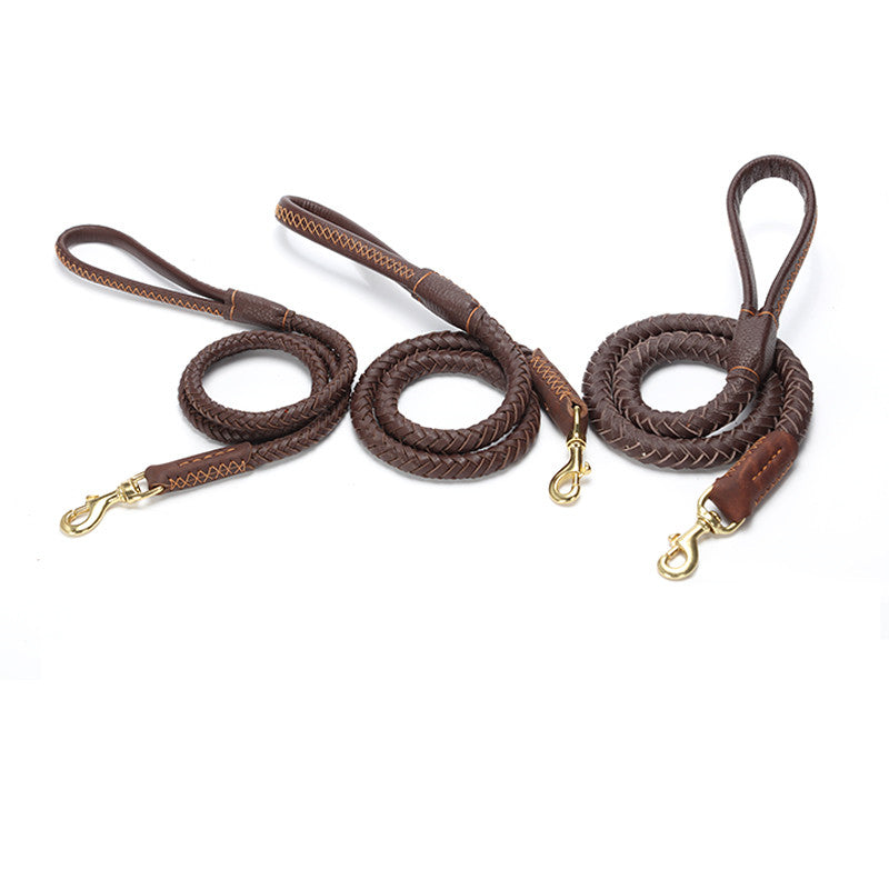 Adjustable Leather Dog Leash for Medium and Large Breeds