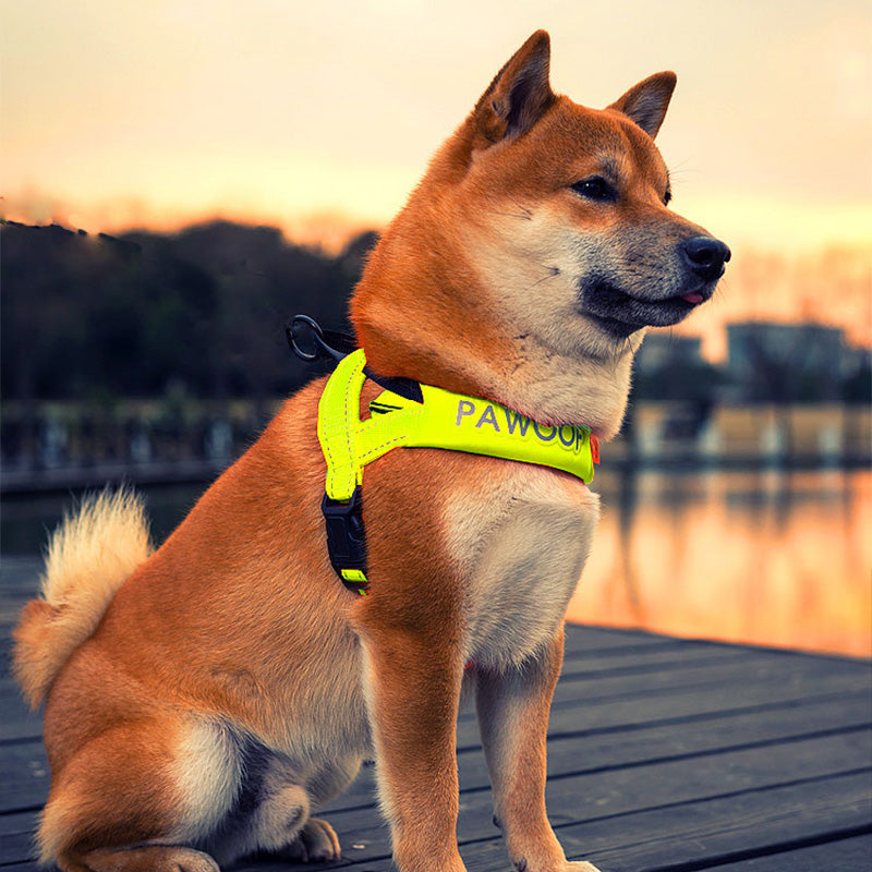 Adjustable Dog Harness and Leash Set, XS–XL