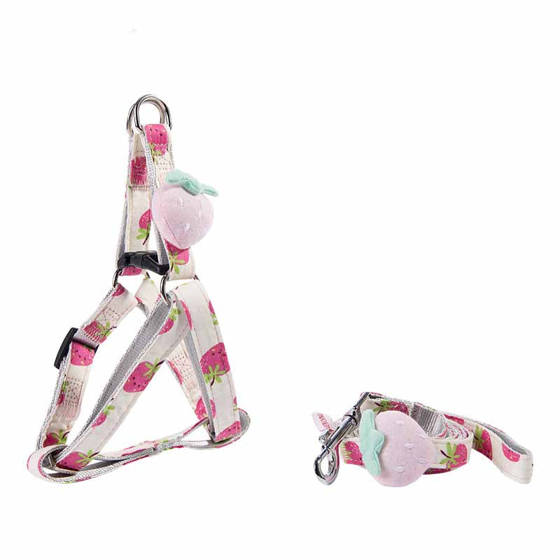 Fruit Series Cat or Dog Collars and Leash