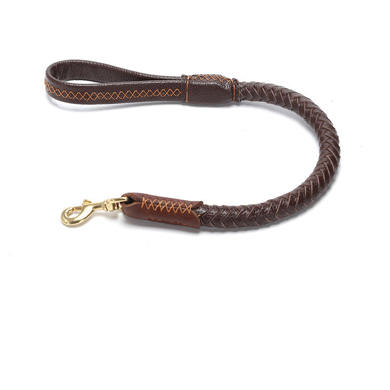 Adjustable Leather Dog Leash for Medium and Large Breeds