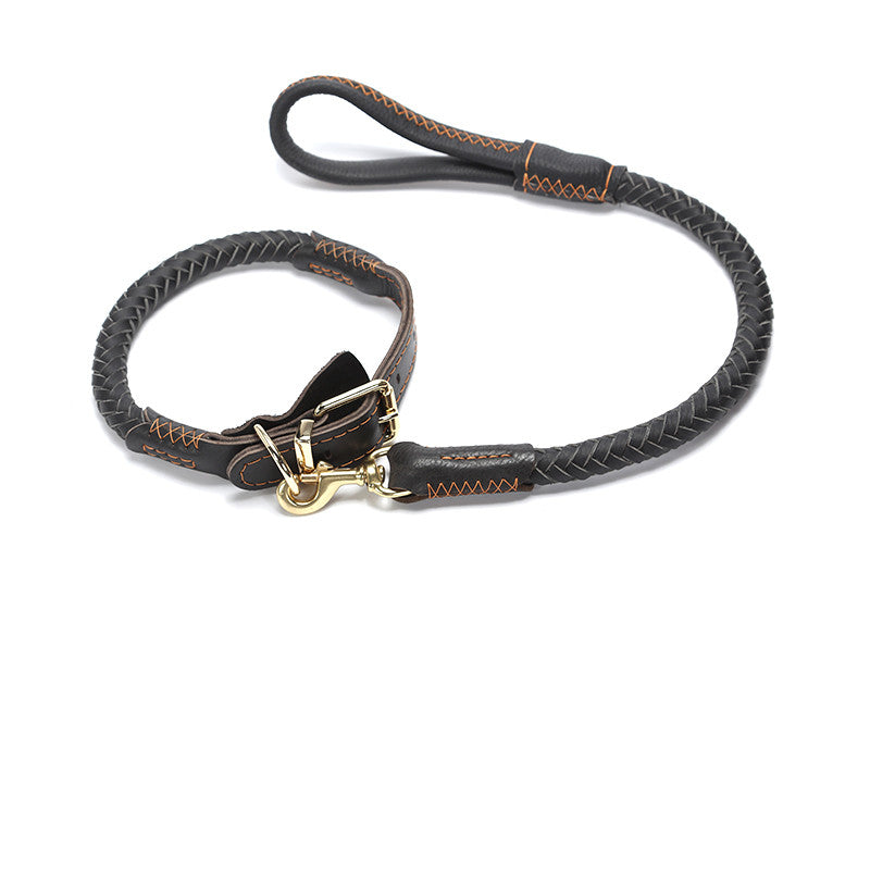 Adjustable Leather Dog Leash for Medium and Large Breeds