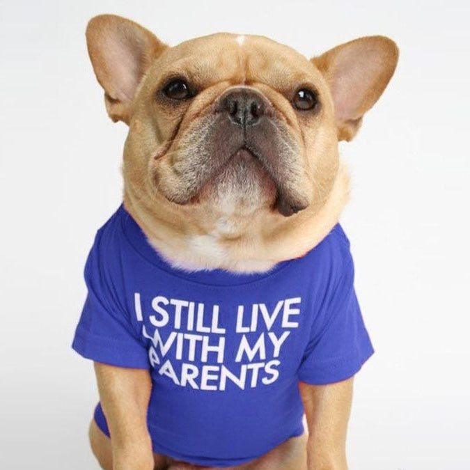 Bentley's Letter Tee