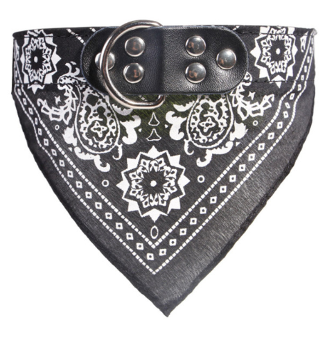 Personalized Dog Collar for Medium and Large Breeds