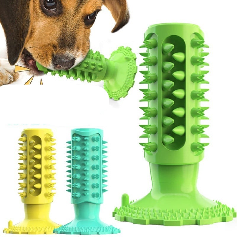Teeth Cleaning Dog Toothbrush and Molar Stick Toy