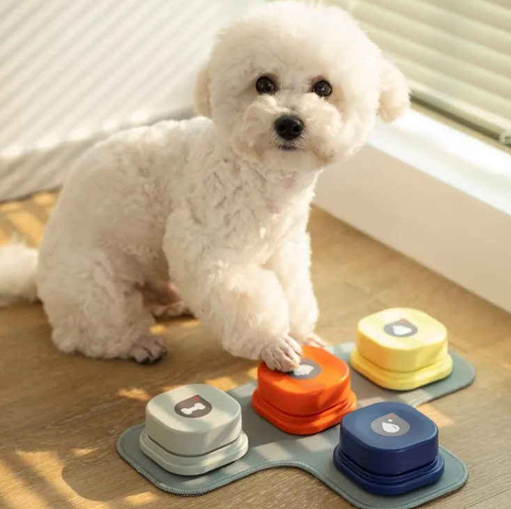 Interactive Pet Training Toy