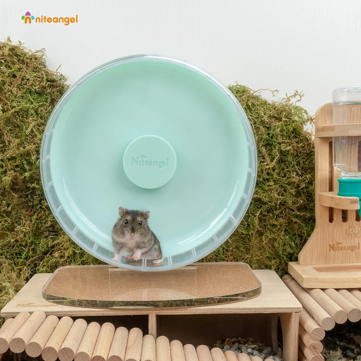 Super-Silent Hamster Exercise Wheel: Quiet 8.2 Inch Running Wheel
