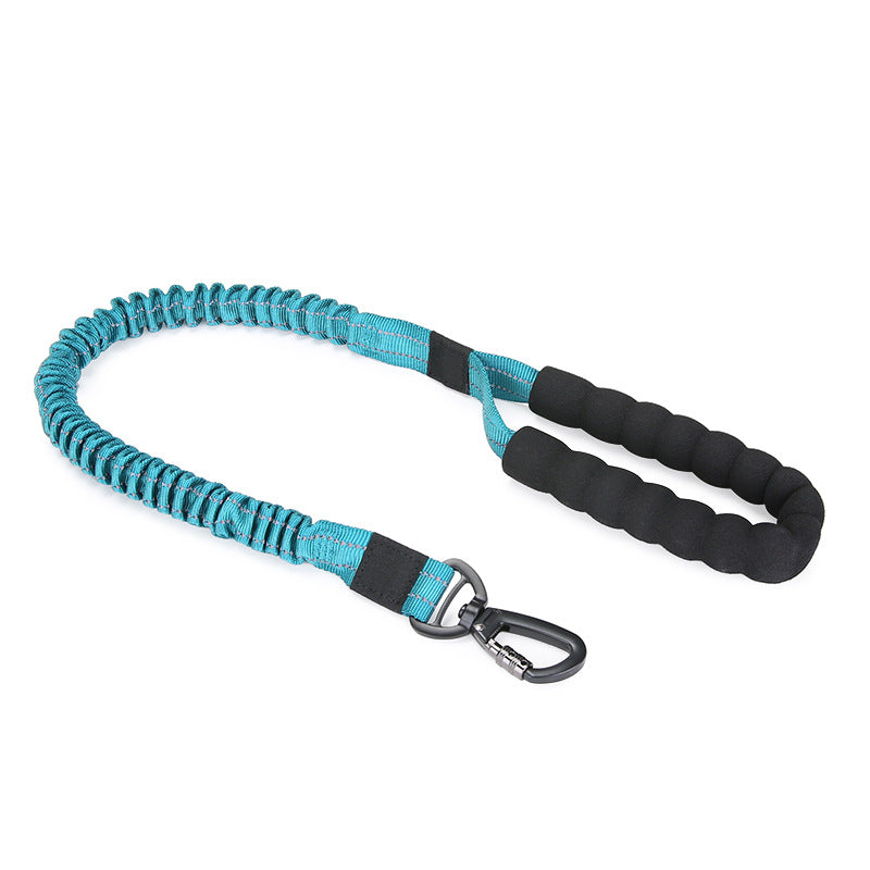 Elastic Dog Leash for Small to Large Breeds