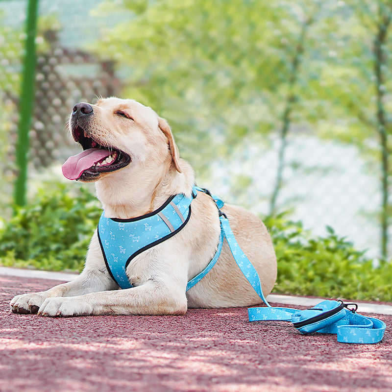 Dog Leash Harness with Bow for Pets
