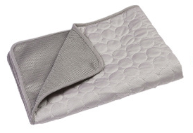 Summer Chill Pet Ice Silk Mat