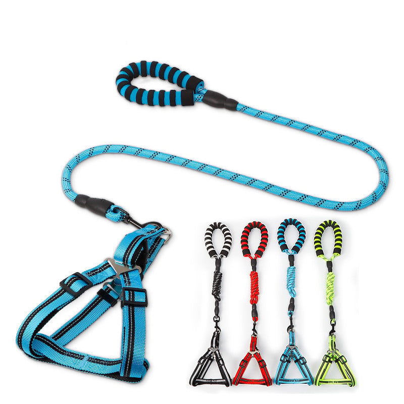 Dog Leash & Chest Harness Set