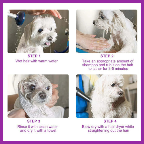 Cat & Dog Shampoo - 100ml