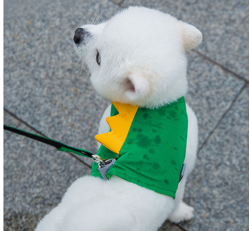 Cute Cartoon Dog Vest Harness and Leash for Pets