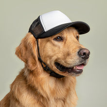 Bentley's Bark Dog Trucker Hat