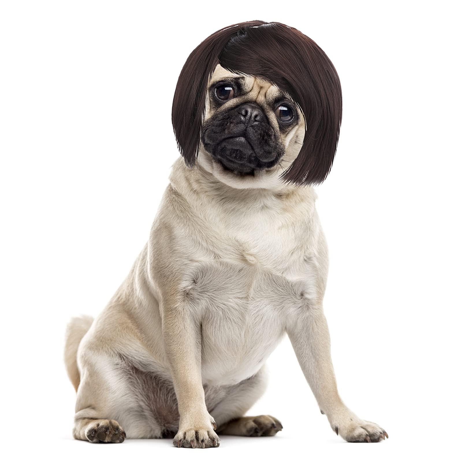 Dog Cosplay Wig